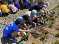 花の苗の植え付け