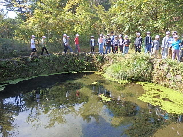 忍野八海、水もきれいです