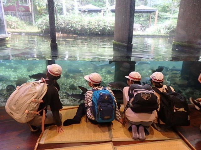 湧水の里水族館の見学