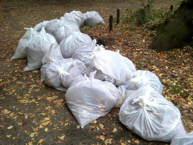 20分ほどでこんなに袋詰めできました。