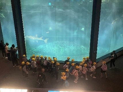 サメに大興奮！