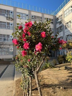 https://asp.schoolweb.ne.jp/1320079/blog_img/117206635?tm=20241211173109