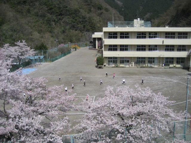 校舎写真（桜）.jpg