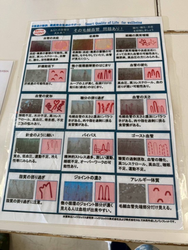 毛細血管②.JPG