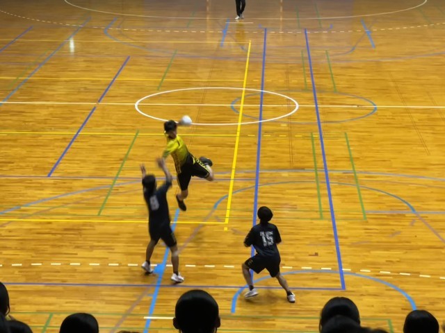 男女ハンドボール部