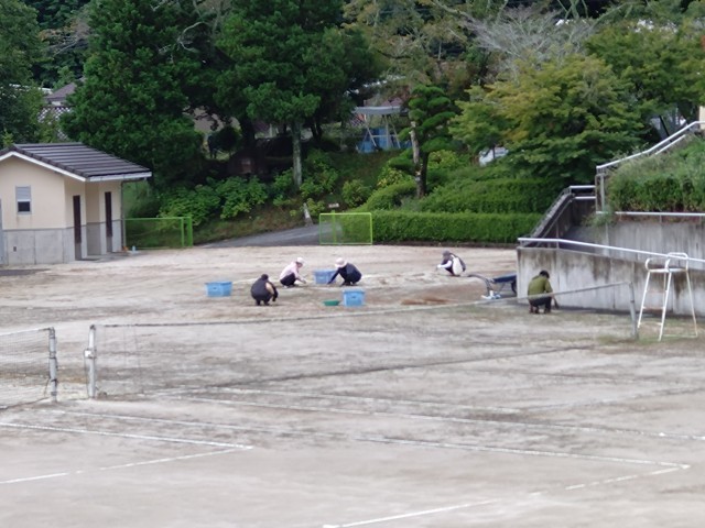 校庭の草取り
