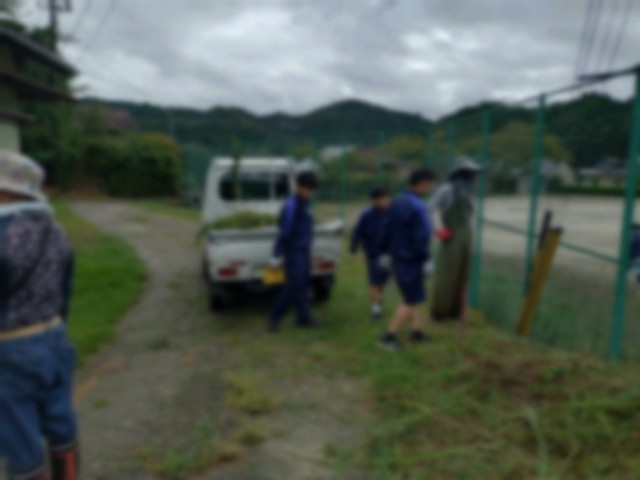 学校周辺の草刈り