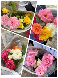 お持ち帰りのバラ🌸