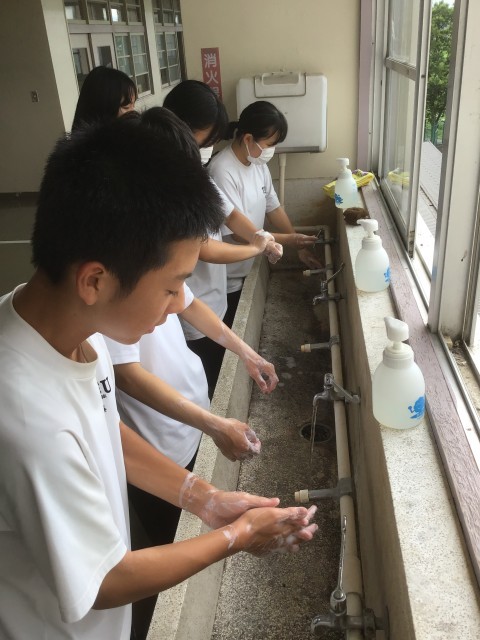 一生懸命洗っています