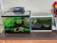学校の玄関より