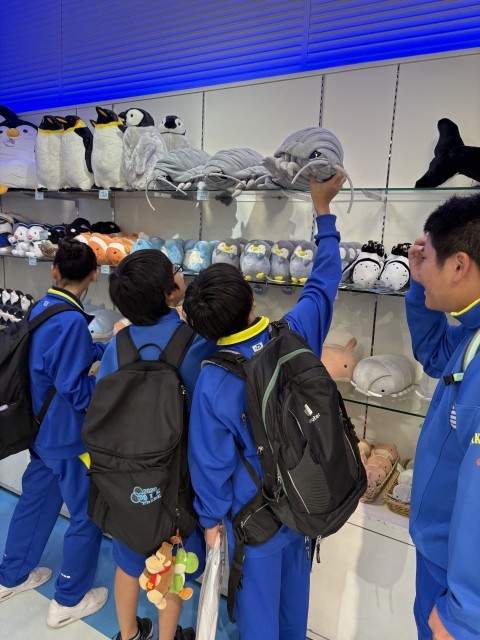 お買い物も大事なミッション