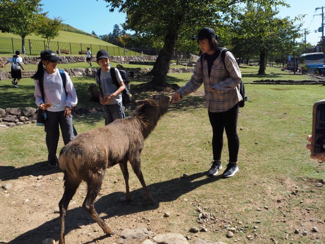 https://asp.schoolweb.ne.jp/2420013/blog_img/54313530?tm=20241024152949