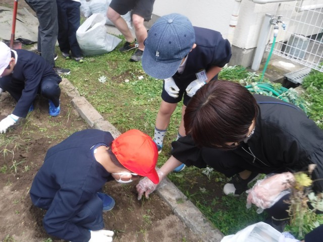 ていねいに根っこからぬこう！