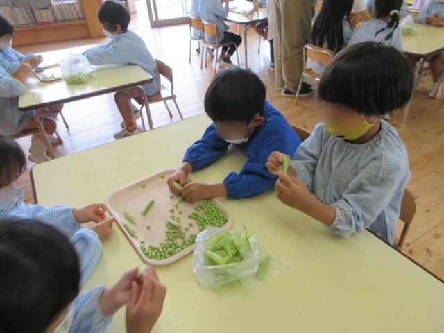豆のさや剥き